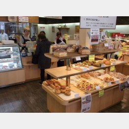 創業は昭和21年（Ｃ）日刊ゲンダイ