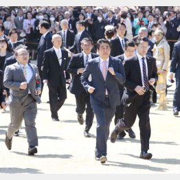 新宿御苑を駆けずり回っても挨拶が追いつかず（Ｃ）日刊ゲンダイ