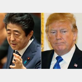 共通している（Ｃ）日刊ゲンダイ