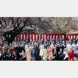 「桜を見る会」に山口県からバス１７台ぶんの後援関係者らを招待した安倍首相／（Ｃ）日刊ゲンダイ