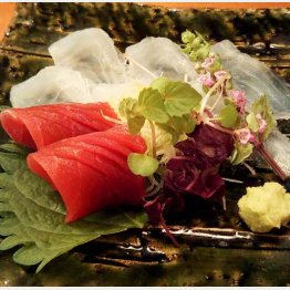 紅白のコントラストが鮮やか（提供写真）