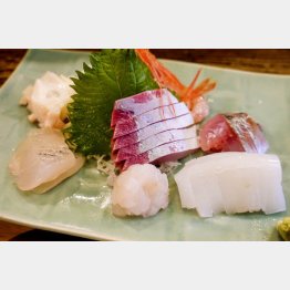 魚津に来たら新鮮な地魚！（かねや）／（Ｃ）日刊ゲンダイ