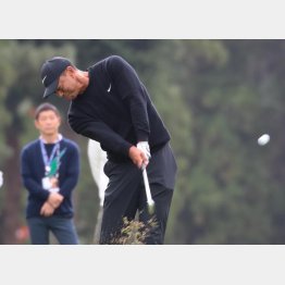 タイガー・ウッズ（Ｃ）日刊ゲンダイ