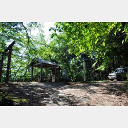 “世界3大怪獣”のひとつがいる⁈（剪宇峠）／（提供写真）