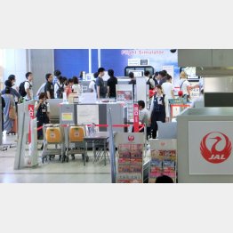 空の旅は超お得で（Ｃ）日刊ゲンダイ