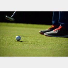 グリーンは神聖な場所