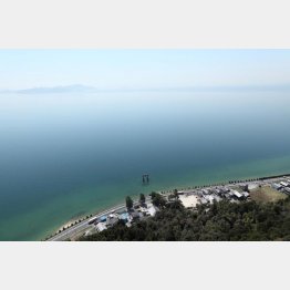 滋賀県の象徴（公社）びわこビジターズビューロー