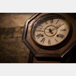 写真はイメージ