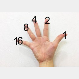 数楽たいそうの基本となる考え方（提供写真）