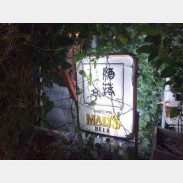 （Ｃ）日刊ゲンダイ