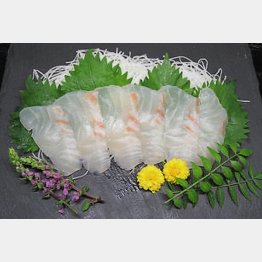 近畿大学と共同開発の熟成魚“鮮熟真鯛”（「食縁」の公式ＨＰから）