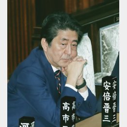 ナーンも考えていない（Ｃ）日刊ゲンダイ