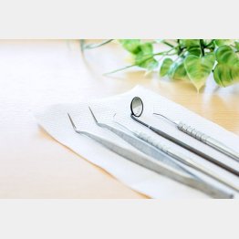 上方修正の期待大