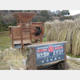 昭和初期に製造の足踏み脱穀機（手前）と明治40年製の唐箕（奥）／（Ｃ）日刊ゲンダイ