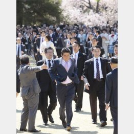 正当化のためなら何でもありの安倍政権（2019「桜を見る会」）／（Ｃ）日刊ゲンダイ