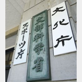 スポーツ庁（Ｃ）日刊ゲンダイ