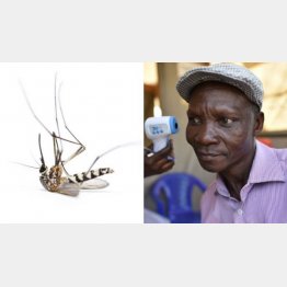 「トーク・オブ・ナイジャ」のフェイスブックから