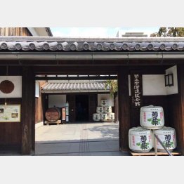 菊正宗酒造記念館（Ｃ）日刊ゲンダイ