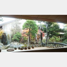 カウンターからこの光景が！（Ｃ）日刊ゲンダイ