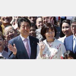 ついに支持と不支持が逆転（2019年安倍首相主催の「桜を見る会」）／（Ｃ）日刊ゲンダイ
