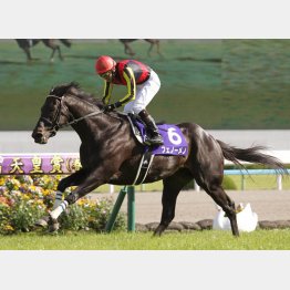 フェノーメノの勝利で億り人に（13年天皇賞・春）／（Ｃ）日刊ゲンダイ