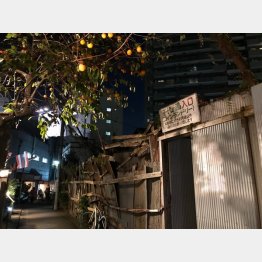 「千代の湯」／（Ｃ）日刊ゲンダイ