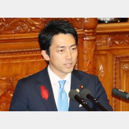 小泉進次郎環境相（Ｃ）日刊ゲンダイ