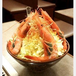 クルマエビ大の子持ちが５尾（Ｃ）日刊ゲンダイ