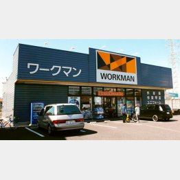 ワークマンの株価はこのところウナギ上り（Ｃ）日刊ゲンダイ