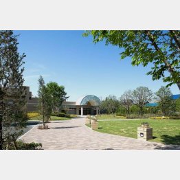 日本最大級のCCRC「スマートコミュニティ稲毛」（千葉県千葉市稲毛区）／（提供写真）