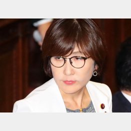 稲田元防衛相（Ｃ）日刊ゲンダイ