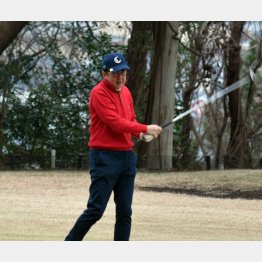 年末年始はゴルフ三昧（Ｃ）日刊ゲンダイ