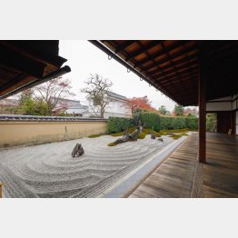 探せば穴場はある（「独坐庭」）／（提供写真）