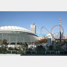 東京ドームを優待で楽しむ（Ｃ）日刊ゲンダイ