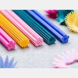 「花色鉛筆」／（提供写真）