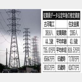 古河電工は「電線ご三家」の一角（Ｃ）日刊ゲンダイ