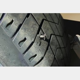 （シドニー・ホイットソンさんのツイッターから）