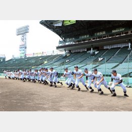 24日にセンバツ出場校が決定するが…（Ｃ）日刊ゲンダイ