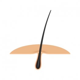 （Ｃ）photo5963／iStock