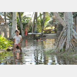 温暖化による海面上昇は続く（Ｃ）共同通信社