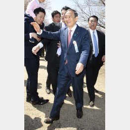 2019年安倍首相主催の「桜を見る会」で招待客に手を振りながら歩く菅官房長官（Ｃ）日刊ゲンダイ