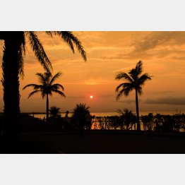 「カフーリゾートフチャクコンド・ホテル」からの眺め（提供写真）