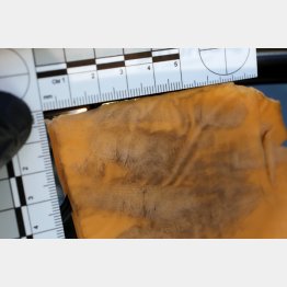 指紋がクッキリ（キャロルトン市警のツイッターから）