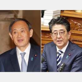 どっちもいらない…（Ｃ）日刊ゲンダイ