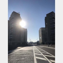 コンクリートジャングル（Ｃ）日刊ゲンダイ