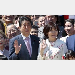 だから民主党政権時の2011、12年は催されていないんですけど（「桜を見る会」での安倍首相夫妻）／（Ｃ）日刊ゲンダイ