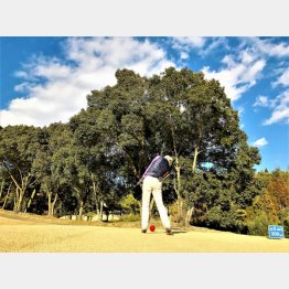 写真はイメージ