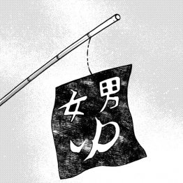 イラスト・嵐塚麻晴