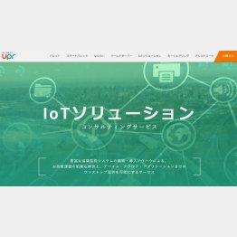 ユーピーアールの公式HP