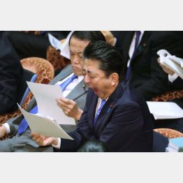 マトモに聞く気なし（安倍首相）／（Ｃ）日刊ゲンダイ